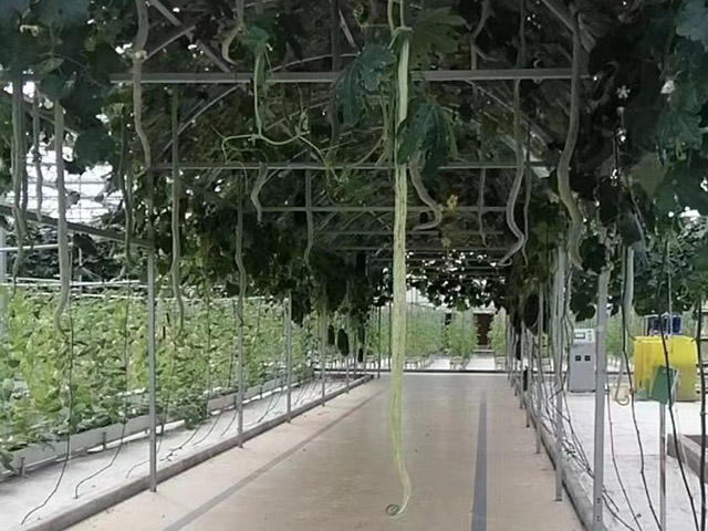 農(nóng)產(chǎn)品